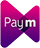 pay using the payM service